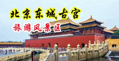 草逼网站免费视频观看中国北京-东城古宫旅游风景区